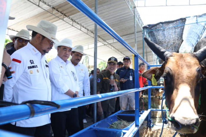 FAO dan WOAH Berikan Penghargaan ke Indonesia 