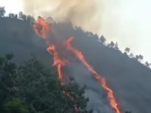 Kebakaran Gunung Kelir Semarang sejak Jumat Malam