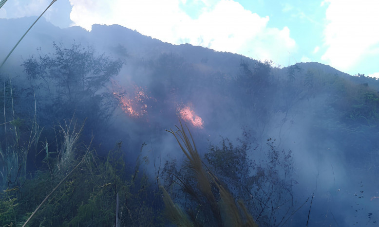 Kebakaran di Gunung Putri dan Gunung Guntur Garut Berhasil Dipadamkan