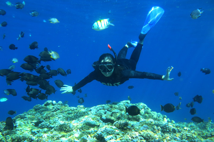 Aktivitas Menyelam di Labuan Bajo Diminati Wisman