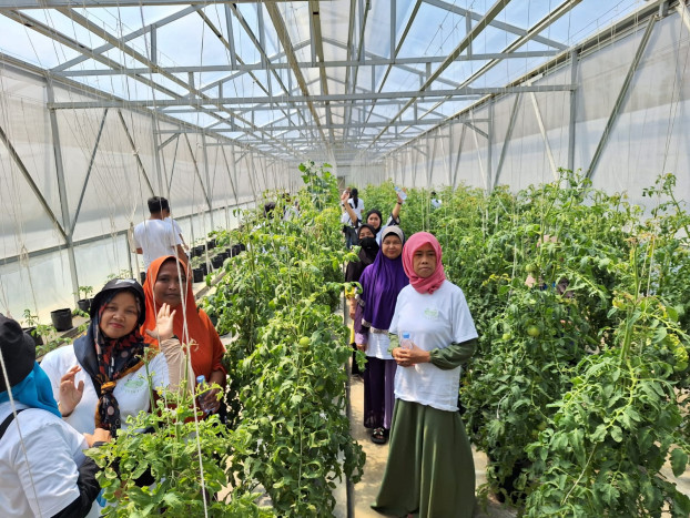 Nasabah Mekaar Diajak PNM Studi Banding Budidaya Tanaman Hortikultura