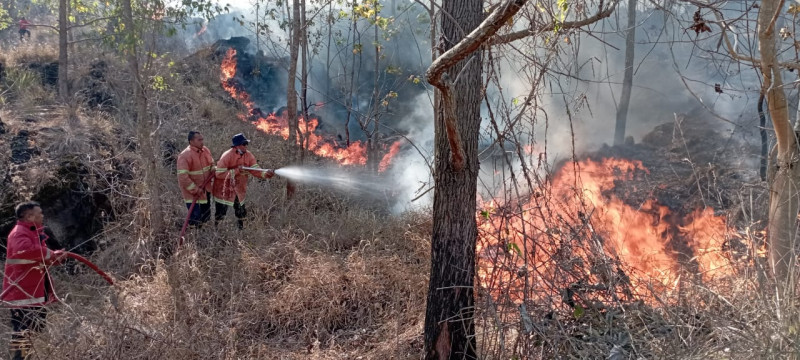 1,3 Hektare Lahan Hutan di Bangli Bali Terbakar