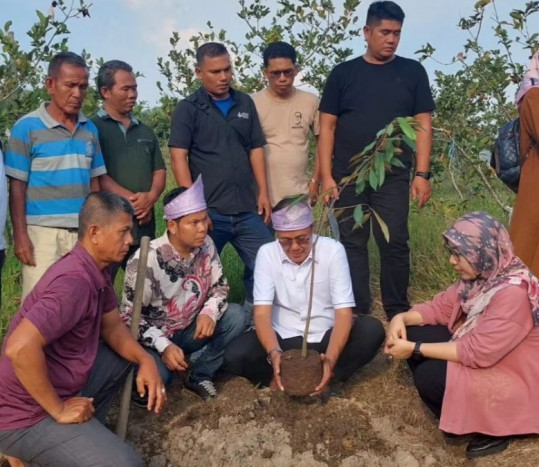  Ayep Zaki Tebar Kebaikan dengan Menanam 500 Pohon Durian Musangking