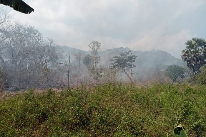 Kebakaran Lahan Gambut di Kecamatan Lewolema Meluas
