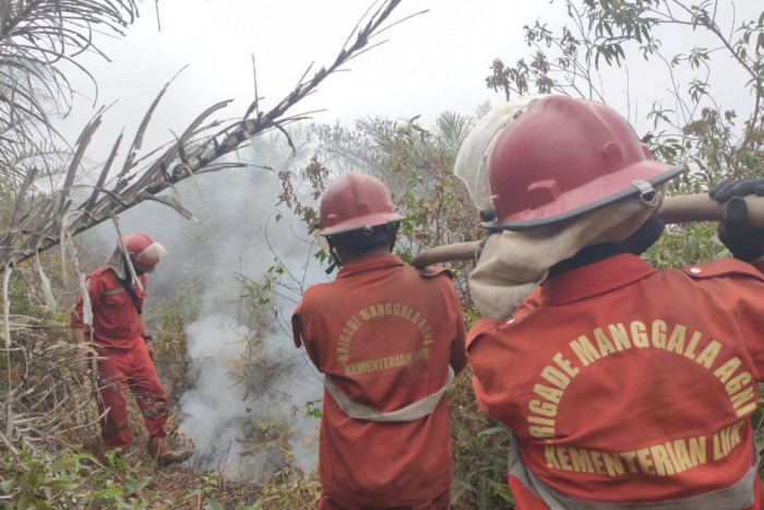 Dua Bulan Kebakaran Lahan di Desa Jungkal belum Kunjung Padam