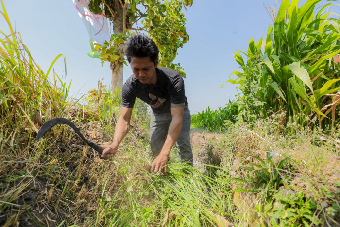 Relawan Petebu Gelar Baksos untuk Normalisasi Saluran Irigasi Sawah di Nganjuk