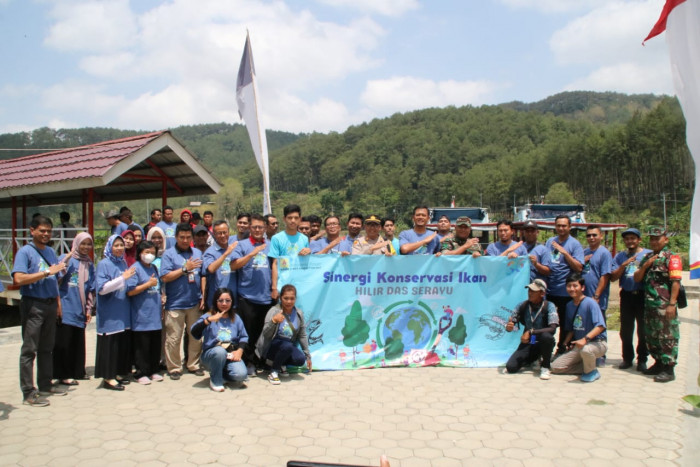 Jaga Ekosistem DAS Serayu, PLN Indonesia Power Tebar 100 Ribu Benih Ikan