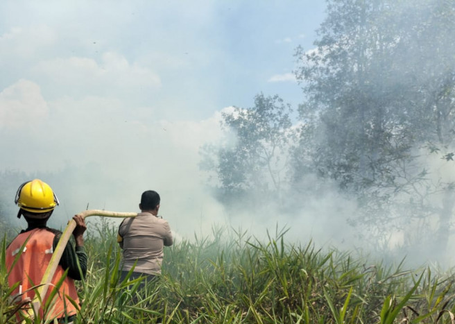 Titik Panas Karhutla Sumatra Tembus 1.262 Titik