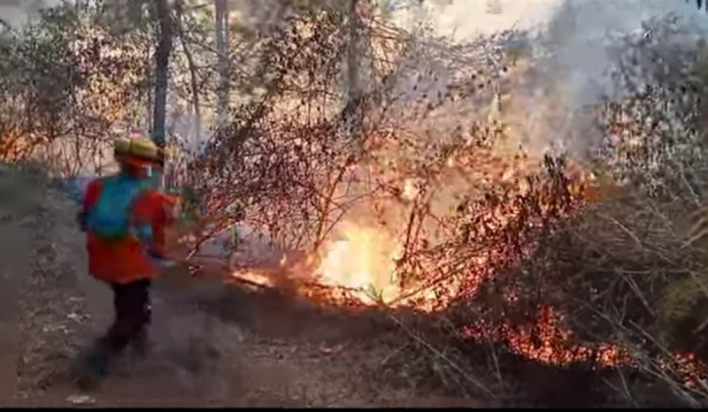 Terdampak Kebakaran Gunung Merbabu, Puluhan Warga Dievakuasi dan Dirawat