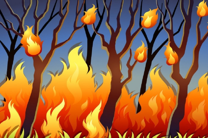 Ratusan Hektare Areal Perkebunan di Kabupaten Banjar Terbakar