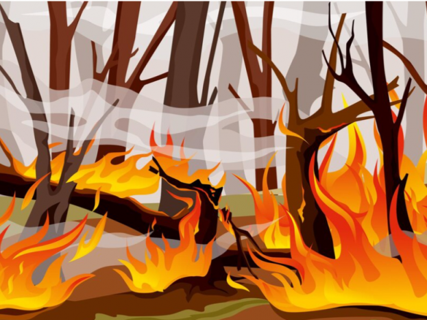 341 Hektare Lebih Lahan Terbakar di Majalengka