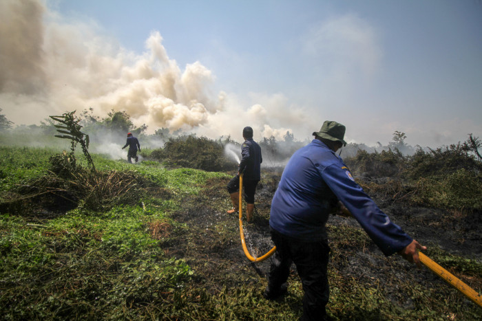 Wali Kota Semarang Ancam Pidanakan Pembakar Lahan