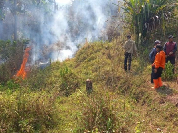 Kawasan Hutan Gunung Talaga di Kecamatan Campaka Terbakar