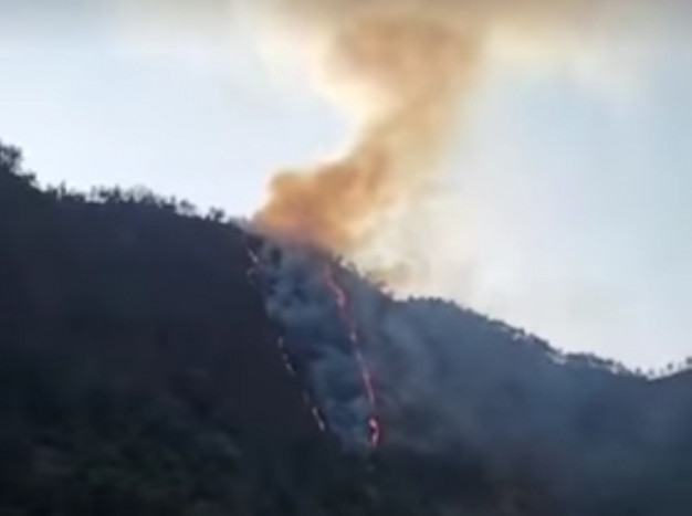 Kebakaran Lahan Dominasi Kasus Bencana di Kabupaten Semarang