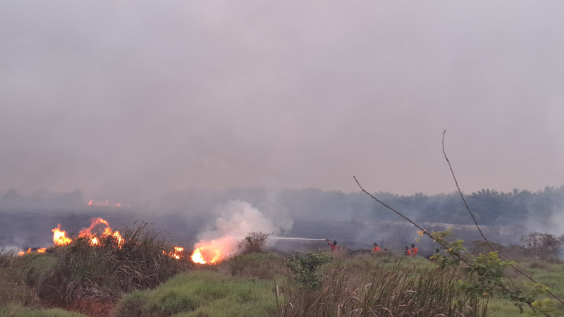 BNPB Sebut Kekeringan Masih Akan Terjadi Pada Awal Oktober, Waspada Karhutla