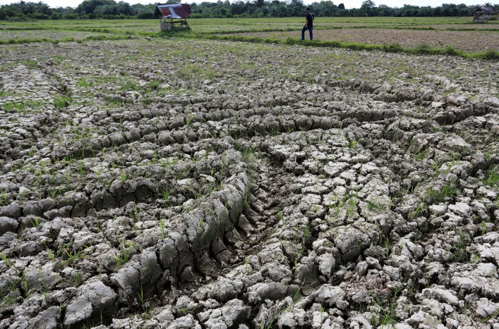 27 Ribu Haktare Lahan Sawah Rusak, Bupati Bogor Minta Pola Makan Diubah