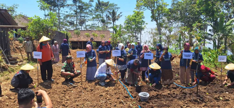 PNM Beri 10.000 Lebih Bibit Unggul Untuk Petani