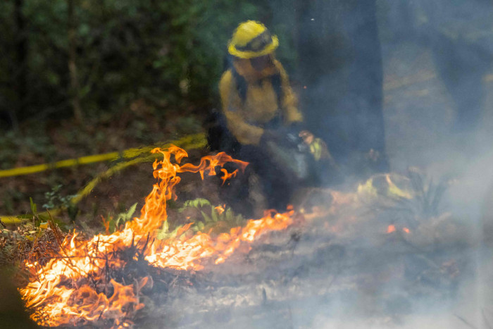 Strategi Pembakaran Terkendali di California: Melindungi Hutan dari Kebakaran Besar