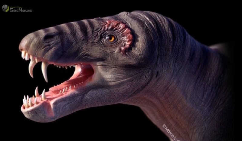 Ilmuwan Temukan Kerangka Predator Purba yang Lebih Ganas dari Dinosaurus di Brasil