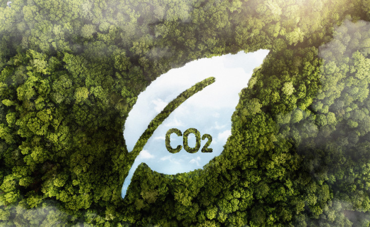 Hutan Pegunungan Meratus Potensi Utama Perdagangan Karbon  