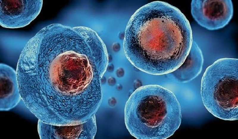 Begini Cara Terapi Stem Cell Dilakukan untuk Perawatan Kulit