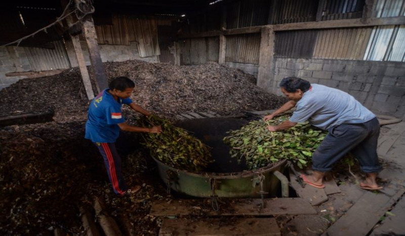 Ancam Petani, Pasal Tembakau di RPP Kesehatan Belum Disetujui