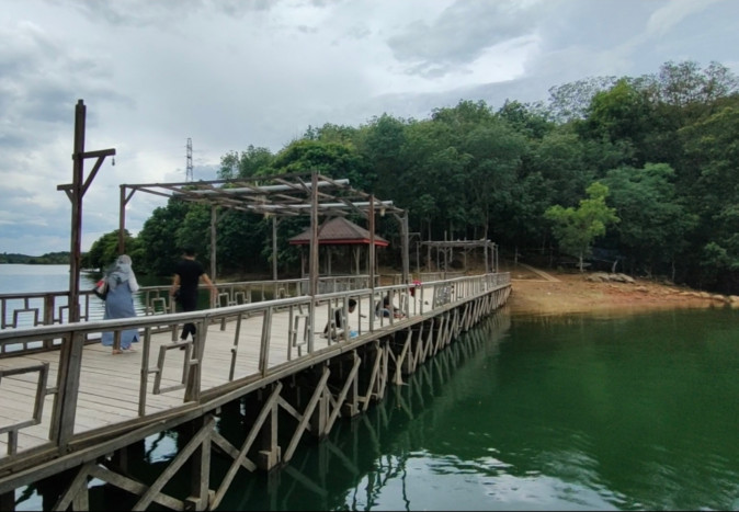 Pulau Ulin Upaya Konservasi Kayu Besi yang Semakin Langka