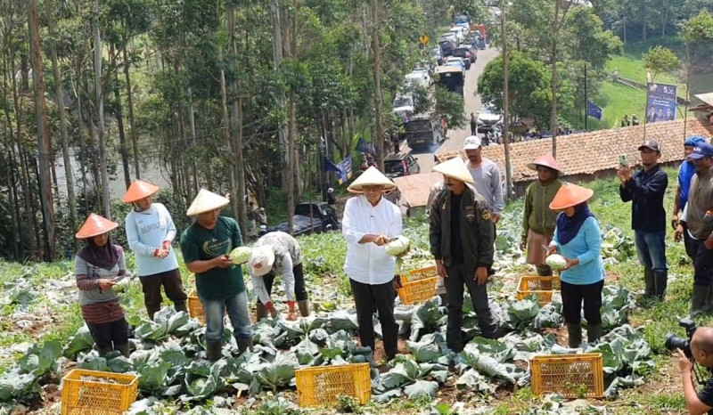 Anies Serap Keluhan Kelangkaan Pupuk dari Petani Holtikultura di Pengalengan