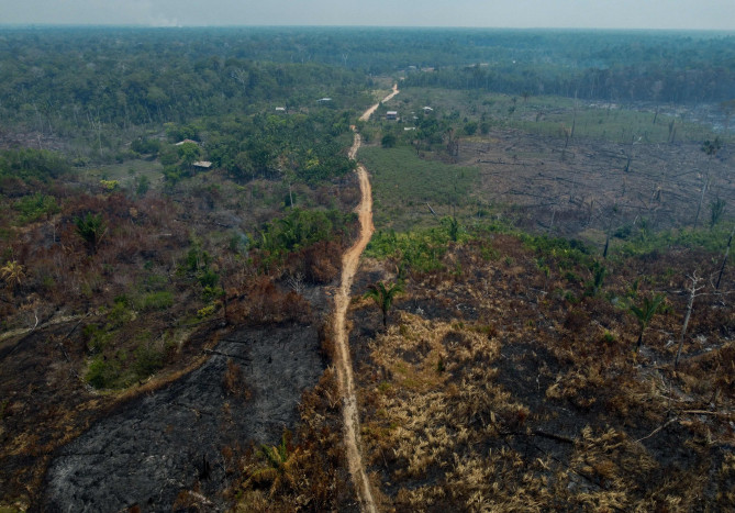 Di Bawah Pemerintahan Lula, Penggundulan Hutan Amazon di Brasil Turun 22% dalam Setahun