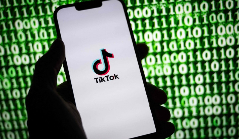 TikTok akan Hapus Video Hoaks selama Proses Pemilu