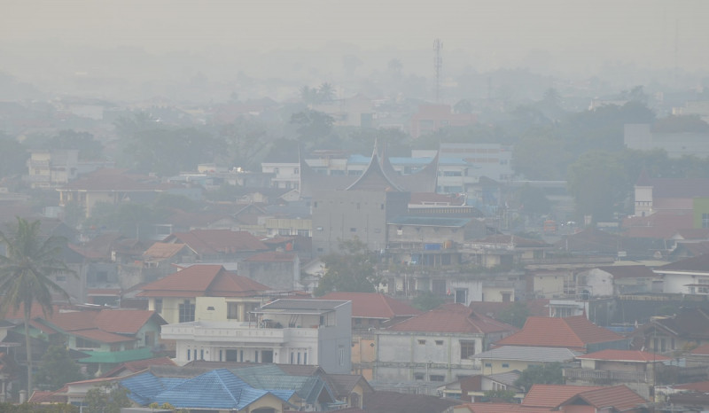 Polusi Bahan Bakar Fosil Bunuh 5 Juta Orang per Tahun