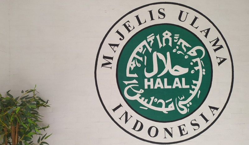 MUI Klarifikasi Soal Status Haram Produk-produk AS-Israel yang Viral di Internet