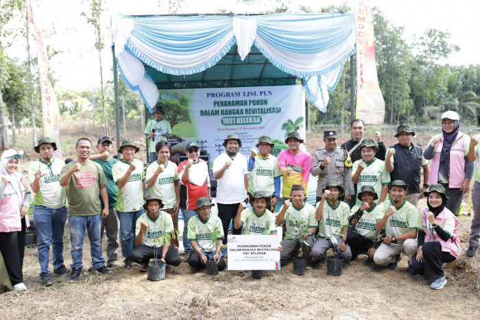 PLN Babel Tanam Pohon 1.001 Kelekak Dukung Green Transformation