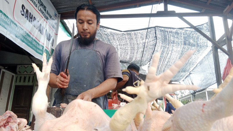 Jelang Nataru, Harga Daging Ayam di Luar  Jawa Merangkak Naik