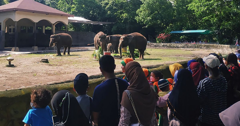 Libur Natal, Kunjungan Wisatawan di GL Zoo Yogyakarta Melonjak 300%  