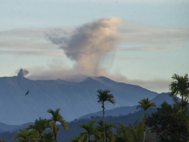 Gunung Marapi di Sumbar Meletus