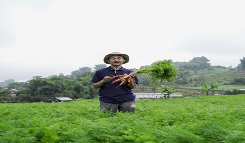 Terpaksa Berhenti Sekolah, Petani Milenial asal Banjarnegara ini Kini Berpenghasilan di Atas UMR