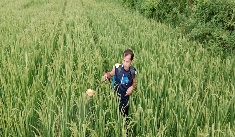 Minim Cuan, Anak Muda Ogah Jadi Petani