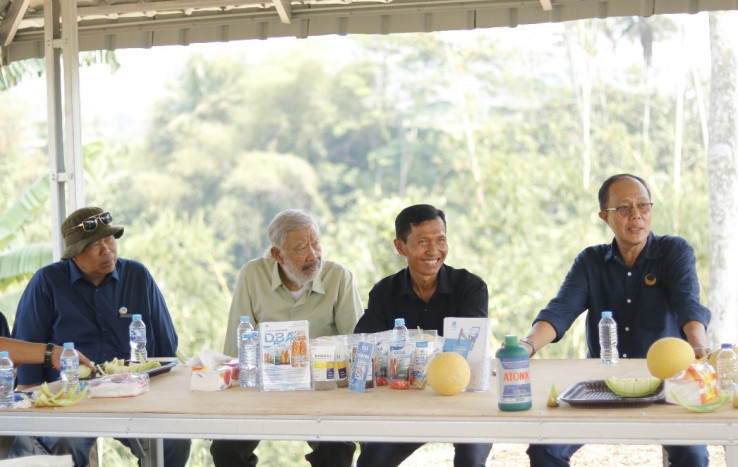 Ayep Zaki Buktikan Potensi Budi Daya Melon di Sukabumi