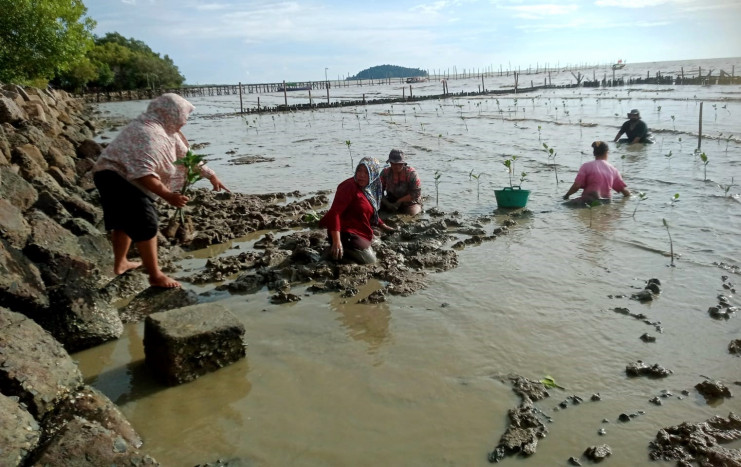  Askrindo Berdayakan Masyarakat Mempawah dengan Hadirkan Ecowisata Mangrove 