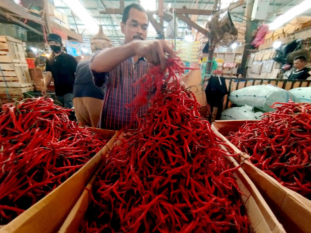Harga Cabai Merah di Bengkulu Turun di Angka Rp60 Ribu Per Kilo  