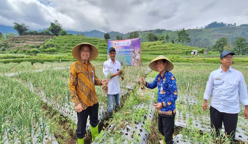 BI Tegal Terus Kembangkan Produksi Bawang Putih Lokal