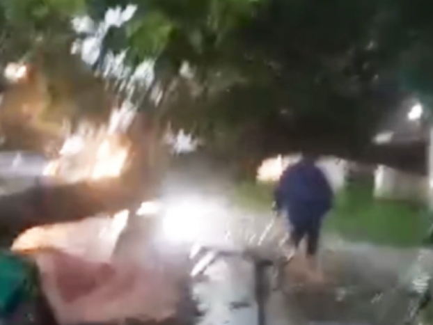 Tabrak Pohon Tumbang di Jalan, Pengendara Sepeda Motor Tewas