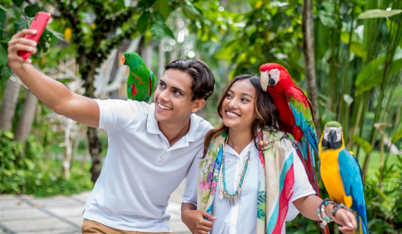 8 Atraksi Seru di Bali Bird Park, Cek Jadwal dan harga Tiketnya!