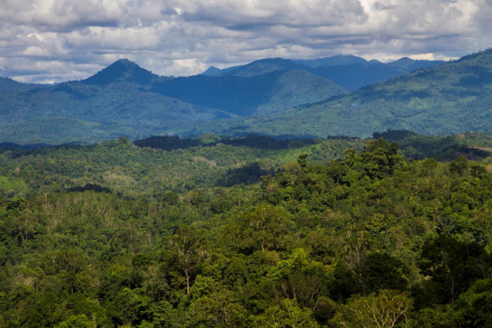 AS Resmi Dukung Pengelolaan Hutan dan Tata Guna Lahan Indonesia