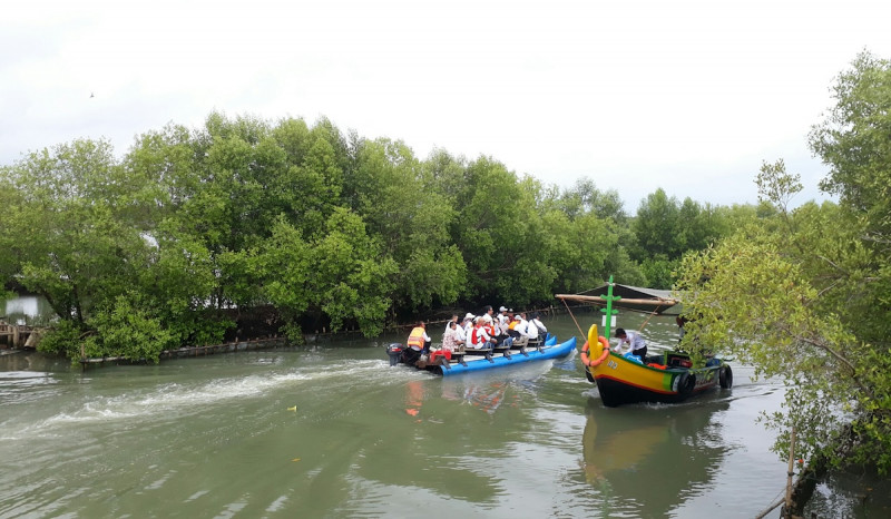 Vegetasi Budidaya Lebah Madu, PHE ONWJ Tanam Seribu Pohon di Indramayu