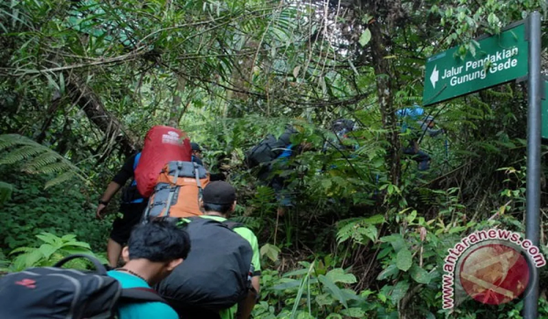 Basarnas: 16 Pendaki Gunung Pangrango Ditemukan Selamat