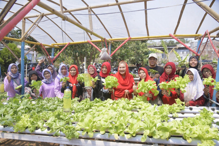 Meningkatkan Ketahanan Pangan dan Berkelanjutan di Kota Semarang