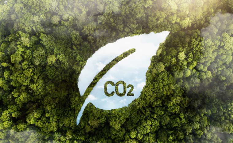 Jokowi Terbitkan Aturan CCS, Porsi Penyimpanan Karbon Asing Capai 30%