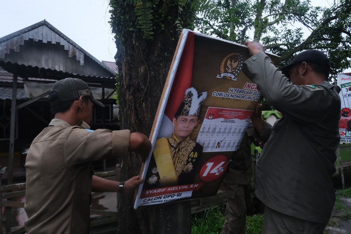 Aksi Peduli Lingkungan Riau Cabut Paku APK Pemilu di Pohon